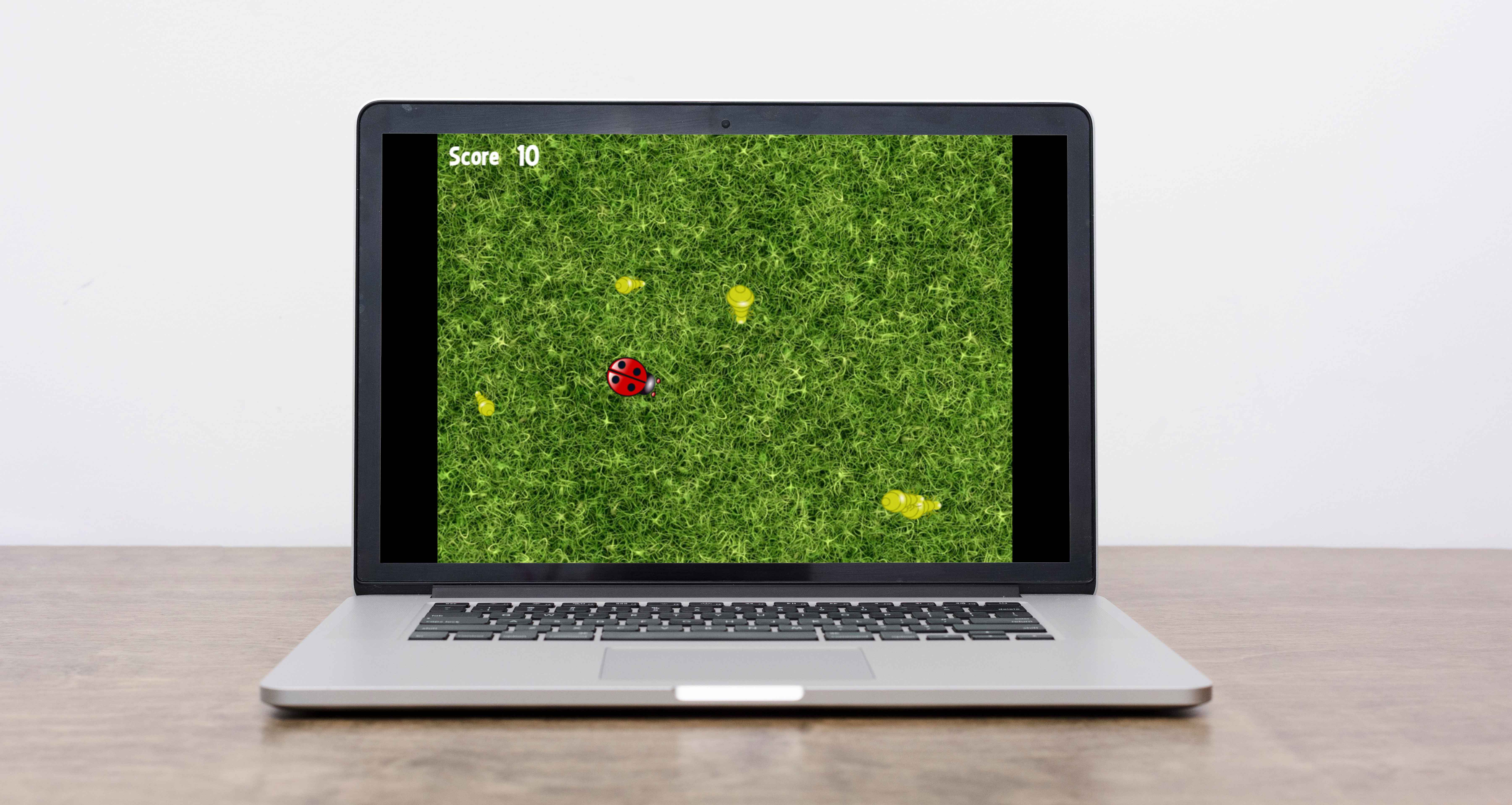 Image du jeu